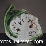forth-halved-cauliflower-with-yellow-ladybird-150x150