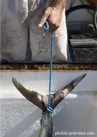 Sydney Fishmarket